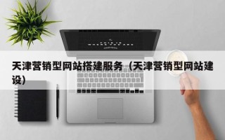灵宝天津营销型网站搭建服务（天津营销型网站建设）